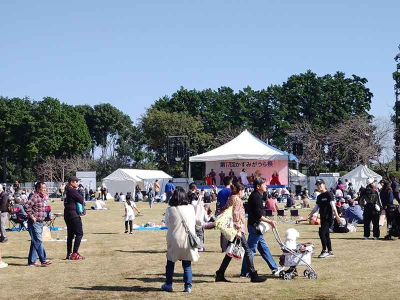 写真：かすみがうら市の一大イベント、かすみがうら祭が開催されました。の画像